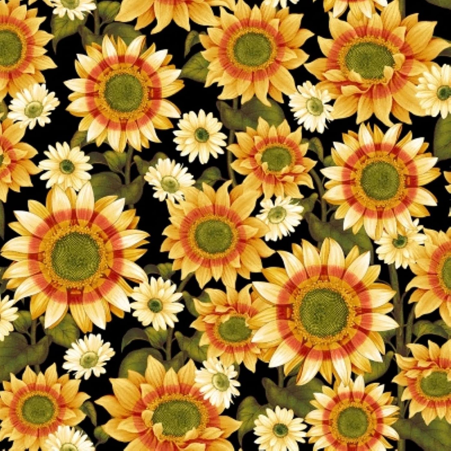 Pumpkin Harvest Sunflowers Black Color Principle Henry Glass Cotton Fabric