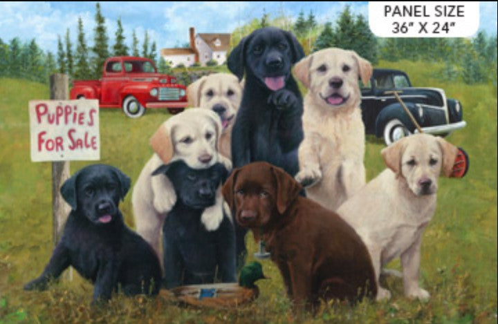 Puppies for Labradors Panel 36" Green Jim Killen Northcott Fabrics Cotton Fabric