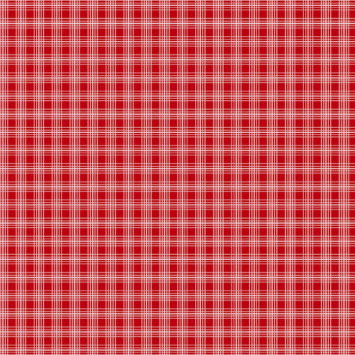 Raspberry Ripple Pencil Line Plaid Red Judy Gauthier Studio E Cotton Fabric