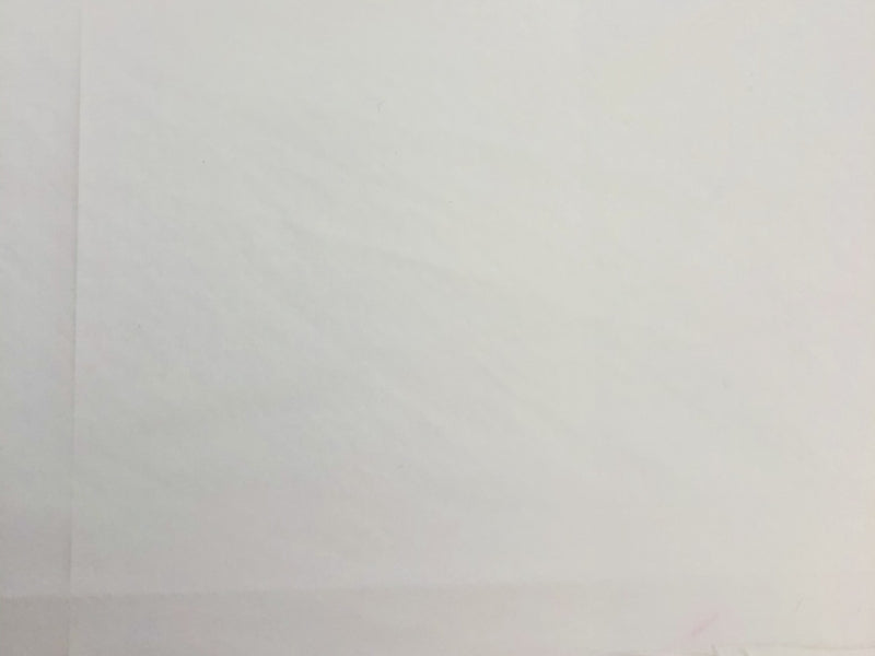 Ripstop Nylon Fabric White 60" Waterproof Paintbrush Studio Nylon Fabric