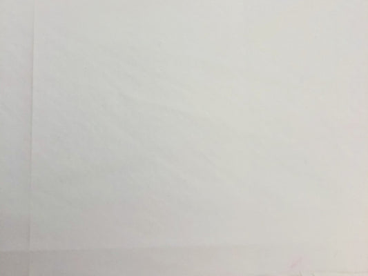 Ripstop Nylon Fabric White 60" Waterproof Paintbrush Studio Nylon Fabric