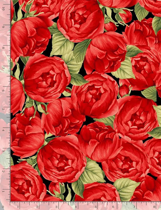 Rose Red Medium Roses Black Timeless Treasures Cotton Fabric  TT-C7973-BLACK