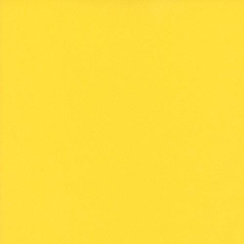 Satin Ribbon Double Faced Daffodil Yellow 7/8 inches 21 ft Moda Fabrics Polyester MD-UNBSR-7-29-645 | US Fabric Shop
