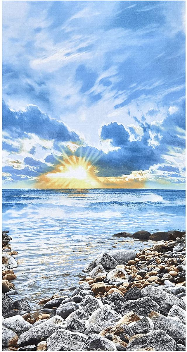 Seas The Day Sunrise On The Coast Panel 24" Timeless Treasures Cotton Fabric TT-C8390 Sky
