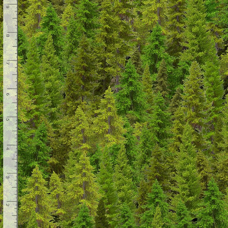 Secret Hollow Evergreen Forest Green Dona Gelsinger Timeless Treasures Cotton Fabric TT-NATURE-CD3831-FOREST