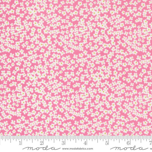 Shine Bloom Small Floral Lollipop Pink Sweetwater Moda Cotton Fabric