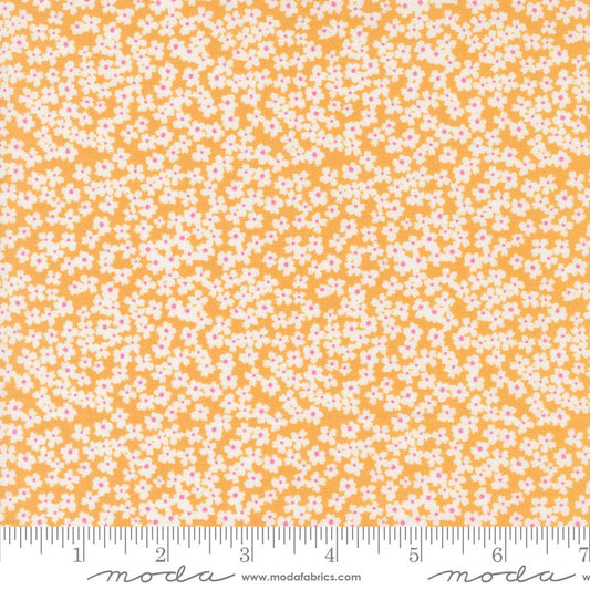 Shine Bloom Small Floral Orangesicle Sweetwater Moda Cotton Fabric