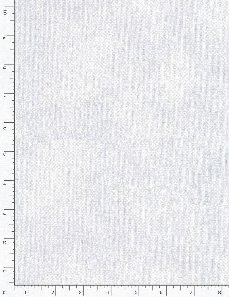 Silver Surface Screen Texture Light Gray Timeless Treasures Cotton Fabric