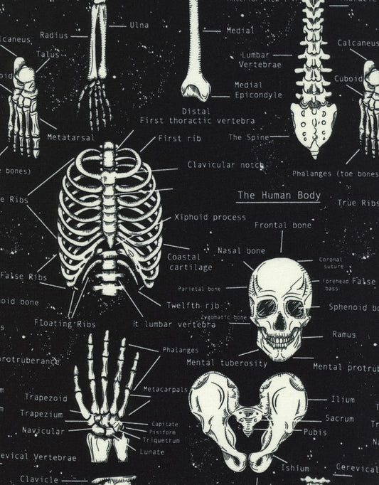 Skeletons Glow the Dark Skeletons Halloween Timeless Treasures Cotton Fabric TT-FUN-CG9810-BLACK
