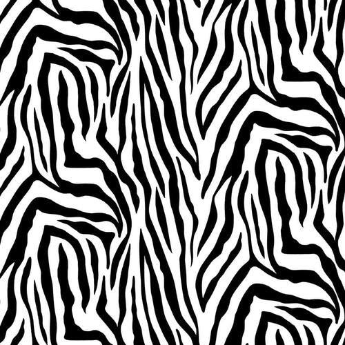 Skin Deep Zebra Prints Black and White Blank Quilting Cotton Fabric BQ-1651-19