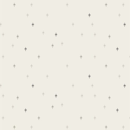 Sparkle Elements Ashen Sparkle Art Gallery Fabrics Cotton Fabric AGF-SKE80108 | US Fabric Shop
