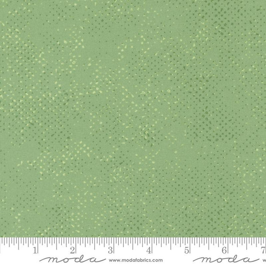 Spotted Celadon Light Green Zen Chic Moda Cotton Fabric MD-1660-64