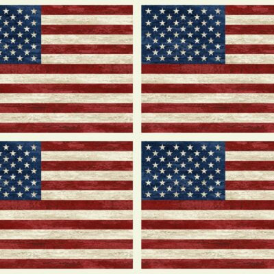 Stonehenge Stars & Stripes Flag Panel 16" Cream Deborah Edwards Northcott Cotton Fabric
