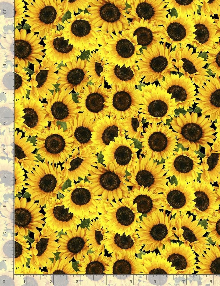 Sunflower Sunset Packed Sunflowers Timeless Treasures Cotton Fabric