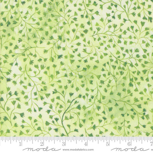 Sunshine & Blue Skies Fine Fellow Fern Watercolor Spring Green Create Joy Project Moda Cotton Fabric