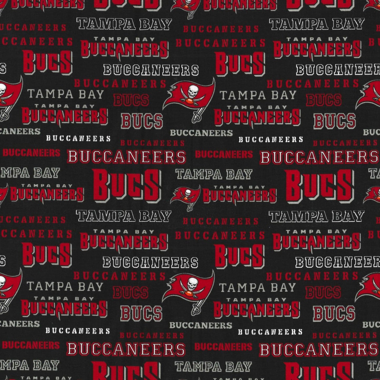 Tampa Bay Buccaneers NFL Football New Logo and Name design NFL-70456D