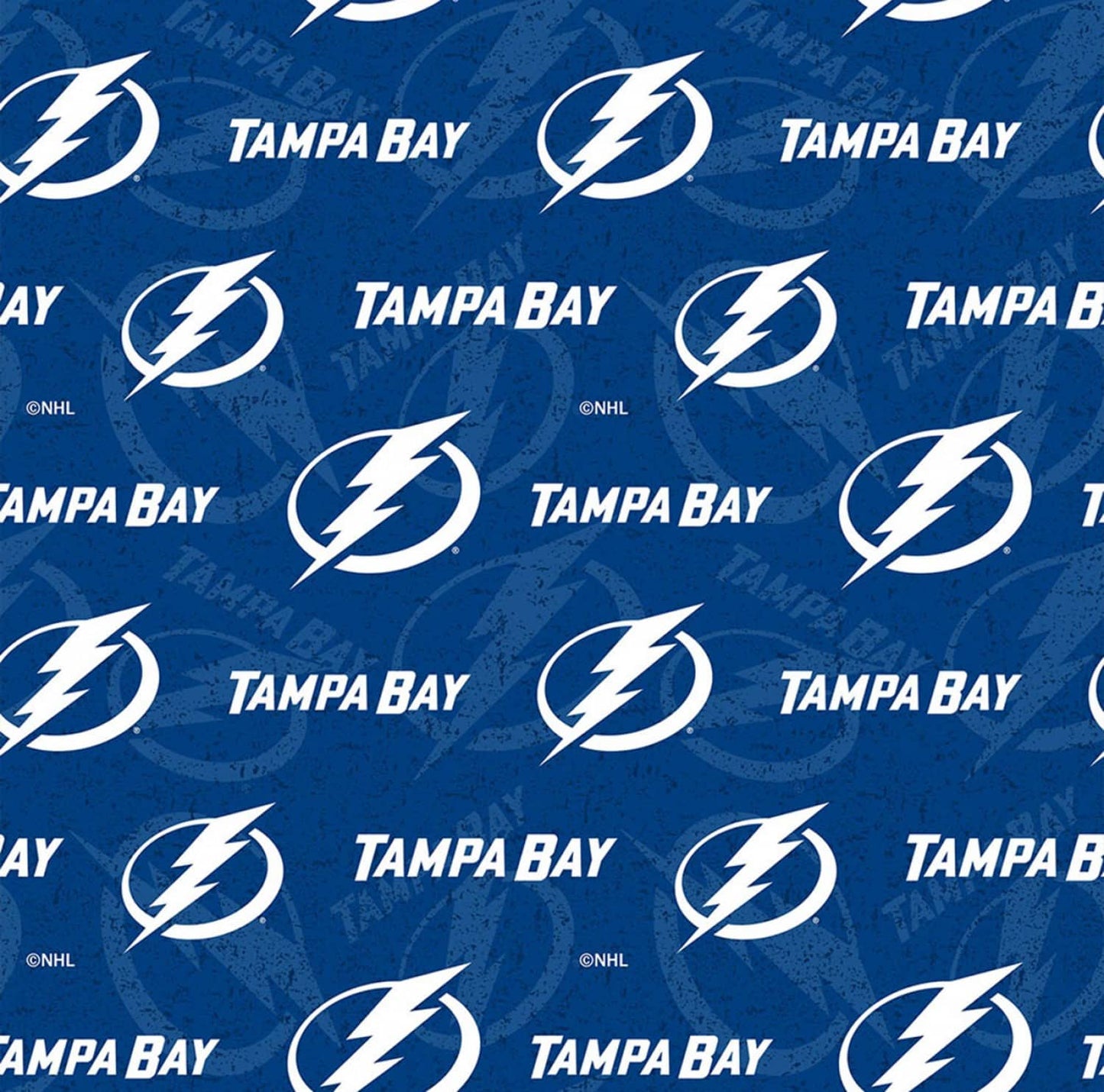 Tampa Bay Lightning NHL Hockey Tone on Tone design Cotton Fabric NHL-1199 LGT