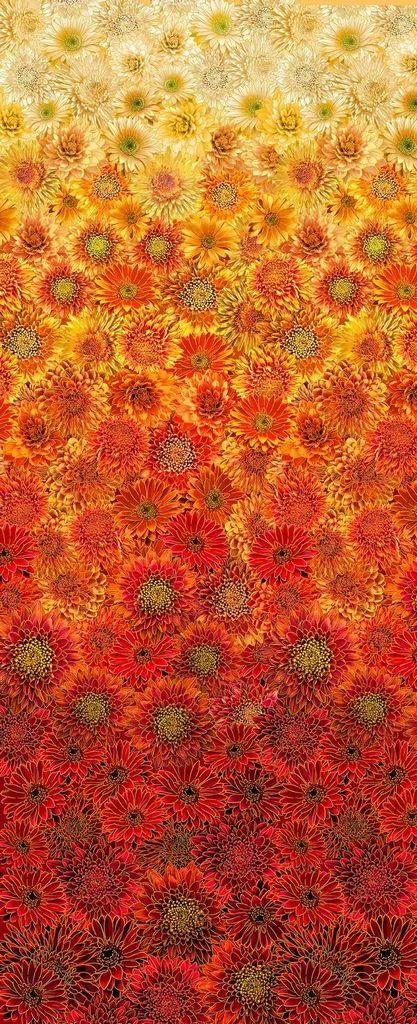 Thankful Ombre Metallic Mums Continuous Panel Timeless Treasures Cotton Fabric