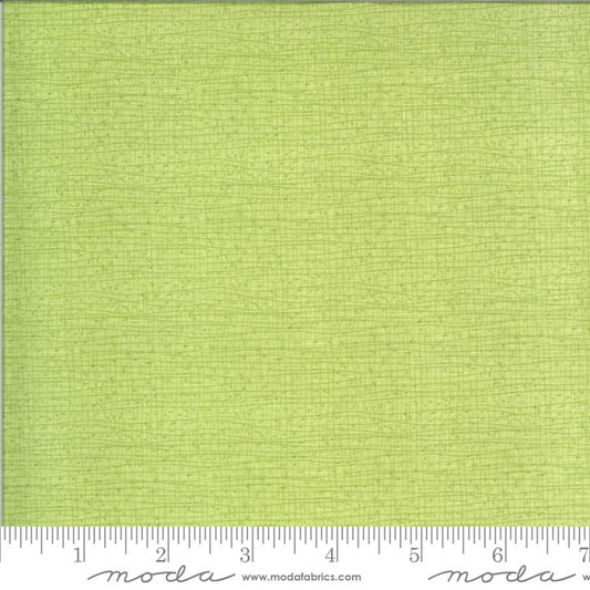 Thatched Texture Meadow Light Green Robin Pickens Moda Cotton Fabric MD-48626-134
