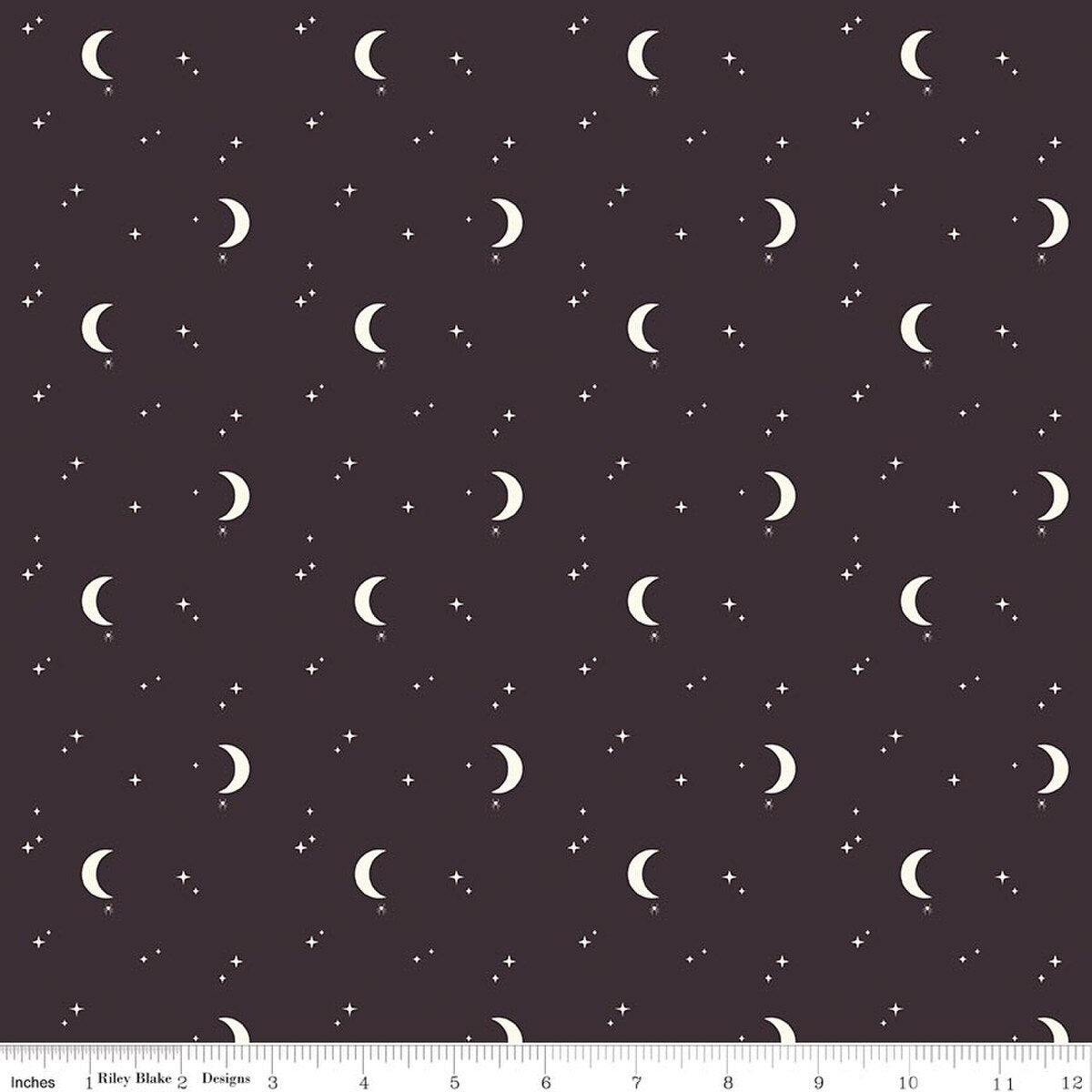 The Apothecary Night Sky Midnight Amber Elliot Riley Blake Designs Cotton Fabric RB-C17555-MIDNIGHT