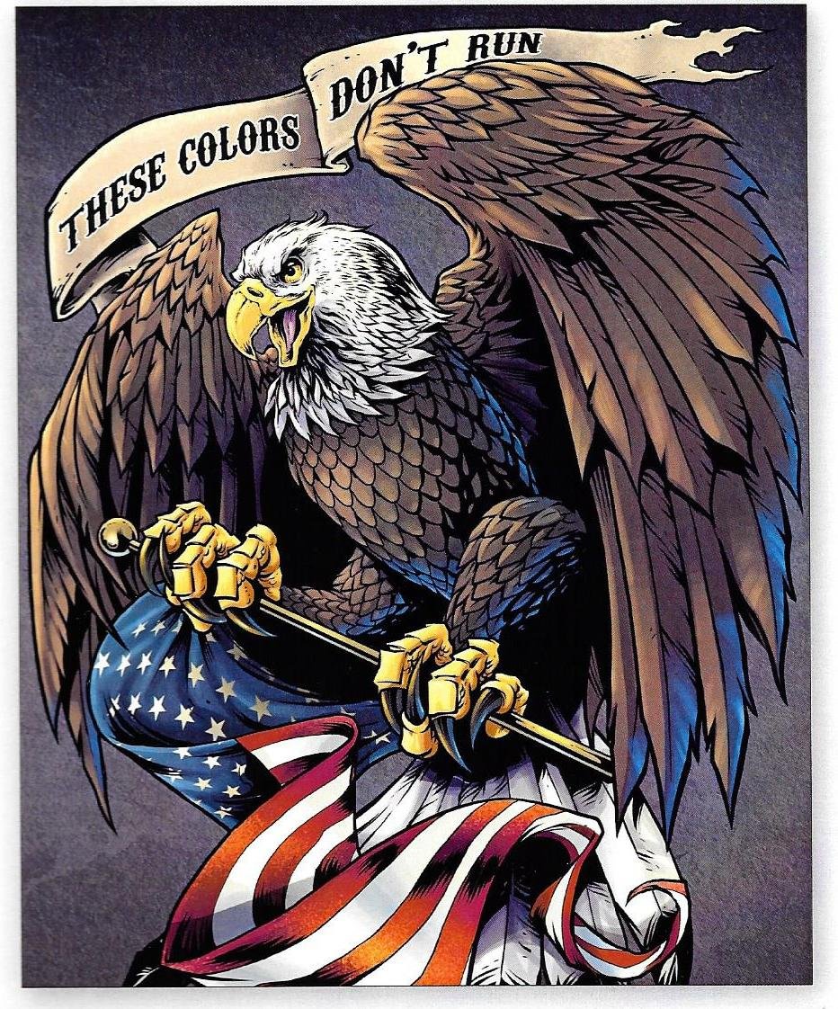 These Colors Don't Run Pride and Courage 35.5" Panel Art Licensing David Textiles Cotton Fabric AL-3738-8C