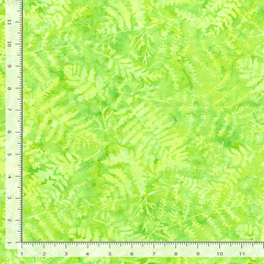 Tonga Royalty Ferns Lime Timeless Treasures Cotton Fabric TT-TONGA-B3316-LIME