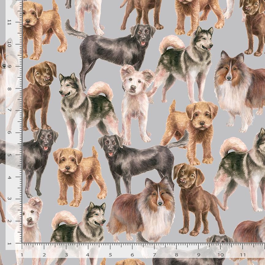 Top Dogs Tossed Realistic Dogs Grey Michael Searle Timeless Treasures Cotton Fabric TT-MICHAEL-CD4467-GREY