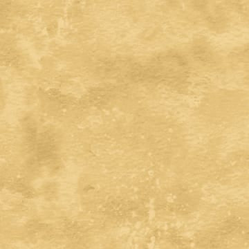 Toscana Texture Bamboo Deborah Edwards Northcott Fabrics Cotton Fabric NC-9020-34 | US Fabric Shop