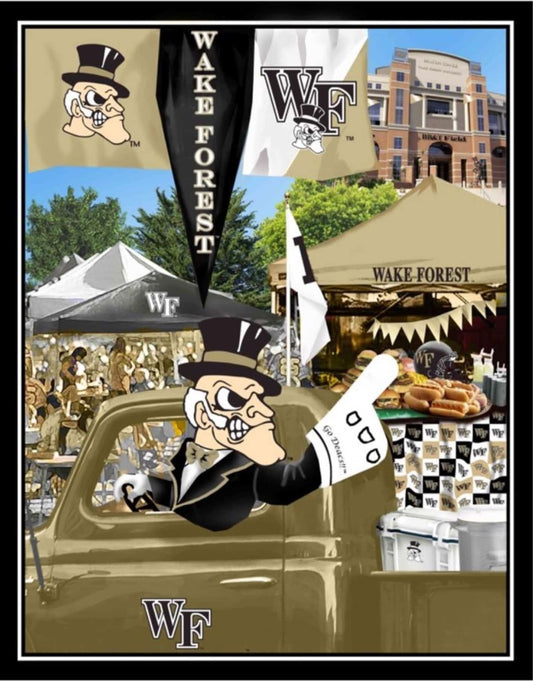 Wake Forest Demon Deacons NCAA College Tailgate Panel Sykel Cotton Fabric WF-1157