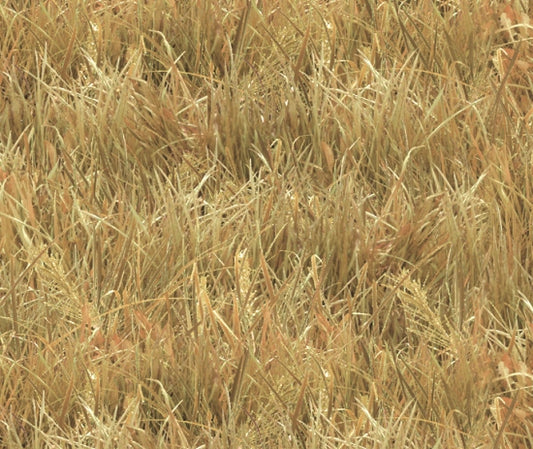 Landscape Medley Wheat grass fields Elizabeth’s Studio Cotton Fabric ES-250-Wheat