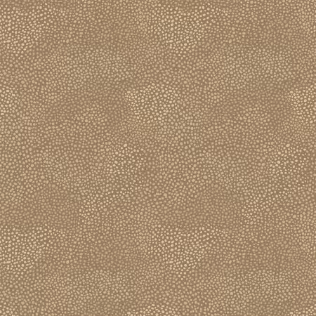 Whimsy II Tonal Spots Light Brown Heather Dutton P&B Textiles Cotton Fabric PB-WHM205689-LZ | US Fabric Shop