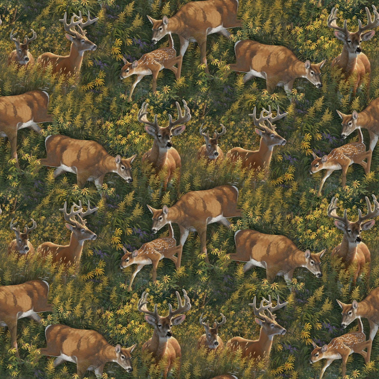 Wild Wings Feast the Valley Deer Coordinate Springs Creative Cotton Fabric SC-66447