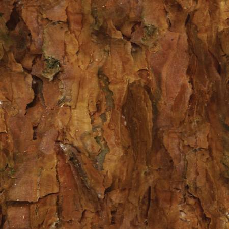 Wild Wings Independence Pass Granite Texture Brown Springs Creative Cotton  SC-58334