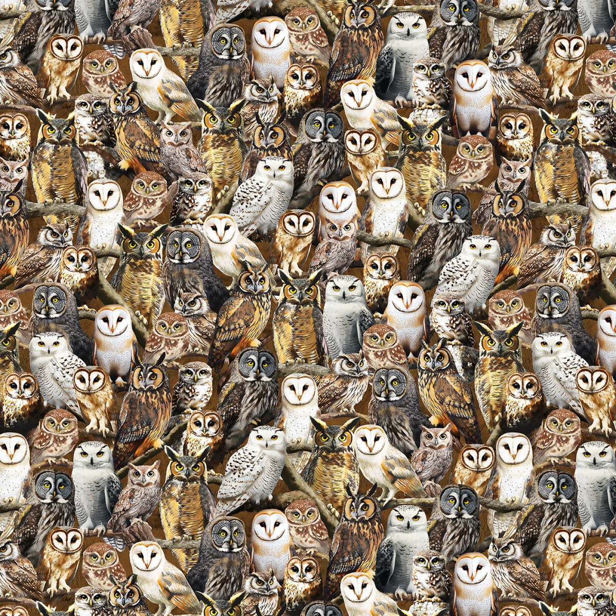 Wild Kingdom Observant Owls Brown Whistler Studios Windham Fabrics Cotton Fabric WF-55032D-1
