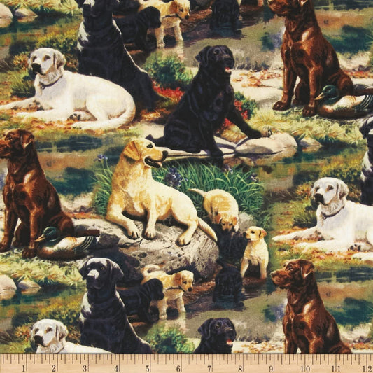 Wild Wings Best Breed Springs Creative Cotton Fabric