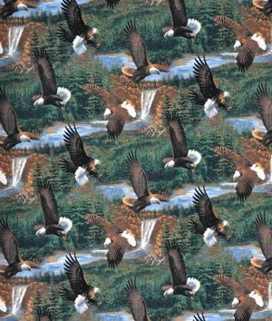 Wild Wings Somerset Point Eagle Scenic Springs Creative Cotton Fabric