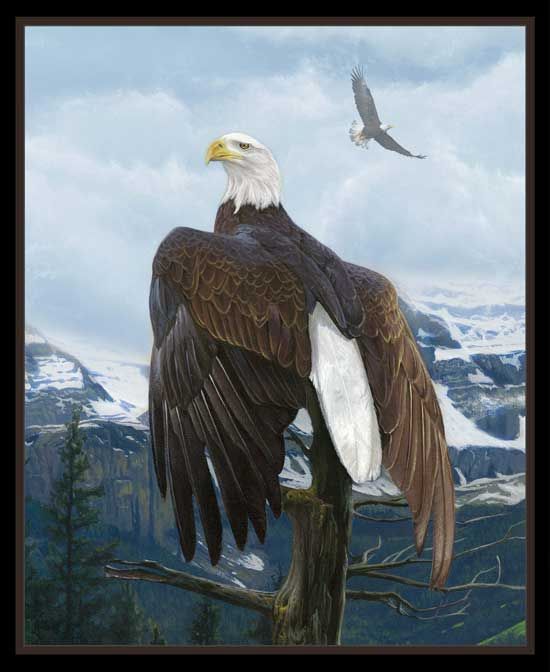 Wings of Pride Eagle Panel 36" Elizabeth's Studio Cotton Fabric