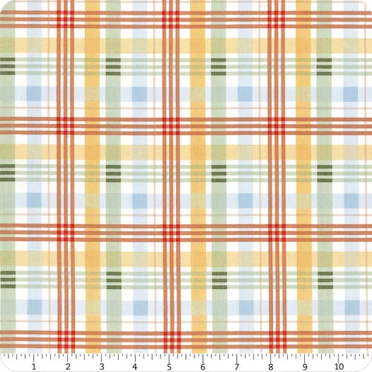 Winnie the Pooh Plaid Multi Echo Park Riley Blake Designs Cotton Fabric RB-C17005-MULTI