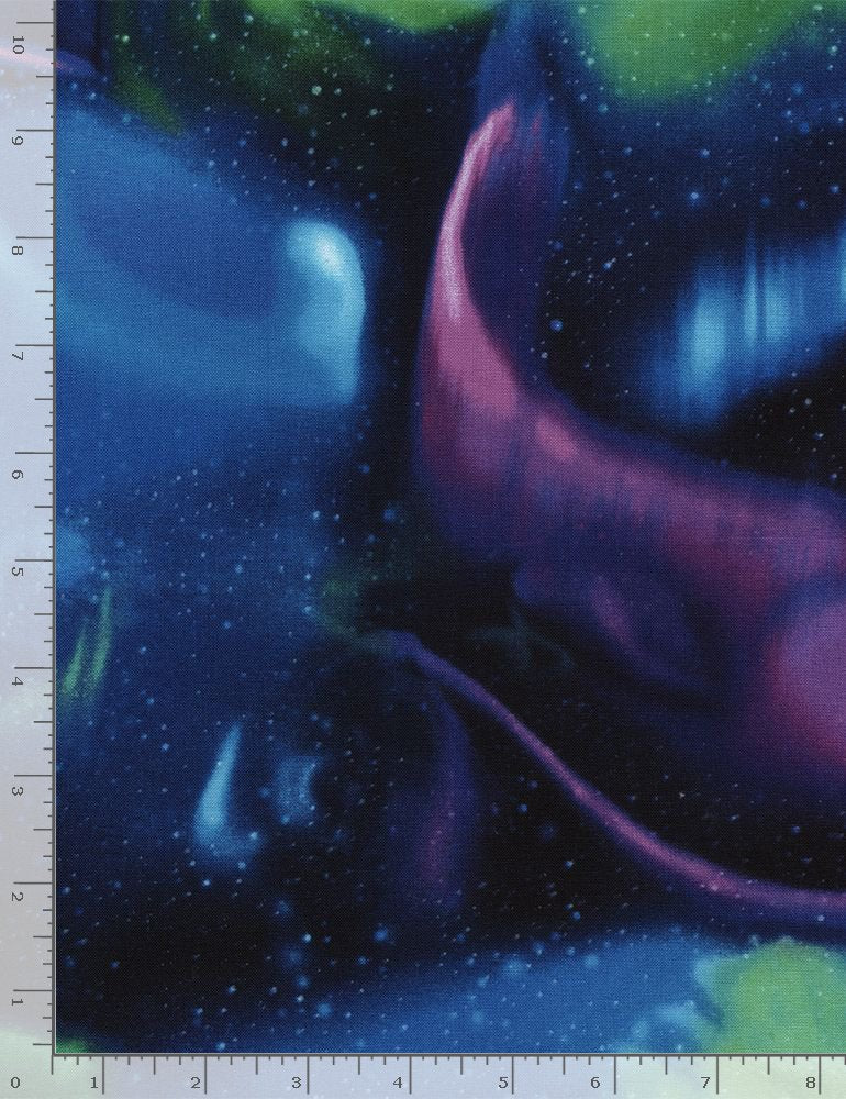 Winter Lights Northern Lights Multi Timeless Treasures Cotton Fabric TT-Nature-CD2685-MULTI