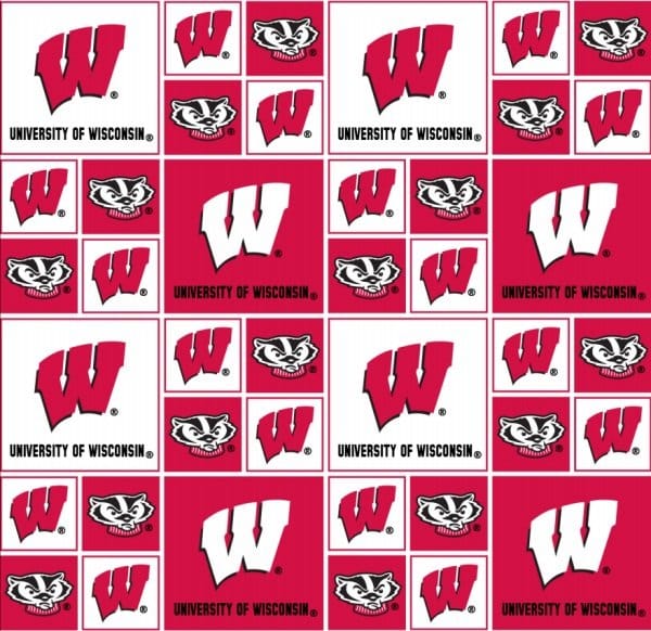 Wisconsin Badgers NCAA College Block Sykel Cotton Fabric WIS-020