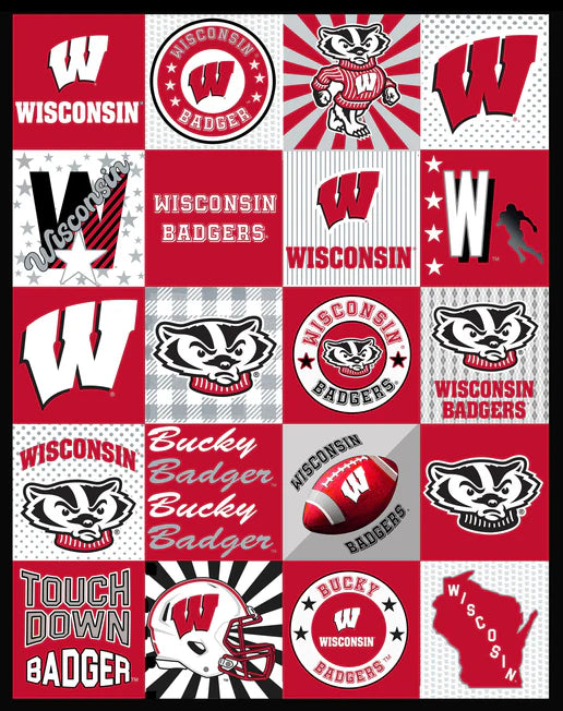 Wisconsin Badgers NCAA College Collegiate T-Shirt Panel 60"x60" Sykel Enterprises Polyester Minky Fabric SYK-WIS-1362