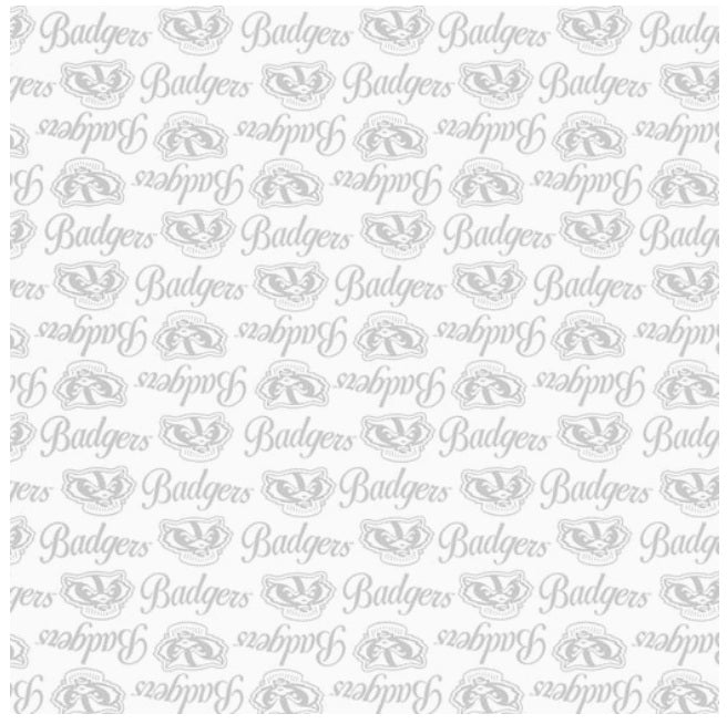 Wisconsin Badgers NCAA College White on White Mini Pigment Print Sykel Enteprises Cotton Fabric WIS-1393-W
