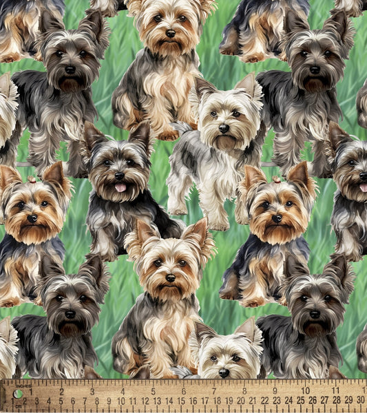 Yorkies 2 Dogs in the Grass Multi David Textiles Cotton Fabric DT-DX-4817-3C-1