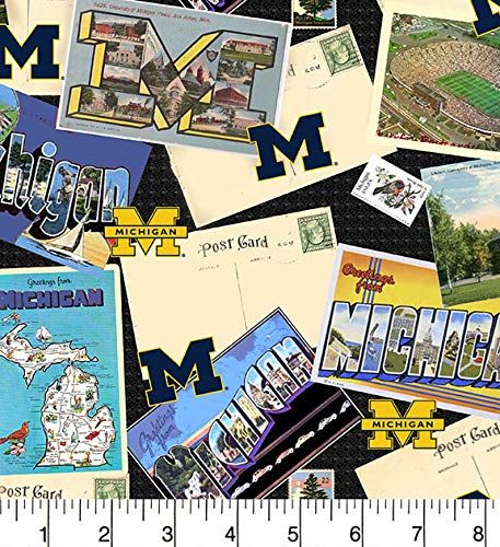 Michigan Wolverines NCAA College Scenic Postcard Sykel Cotton Fabric MCHG-1211