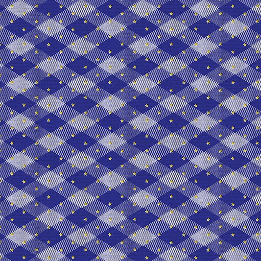 250 Years of America 108" Wide Back Gingham Stars Blue Paintbrush Studio Cotton Fabric PBS-183-26894