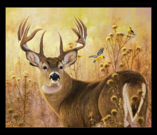 A Buck Stops Here Deer Panel 36" Black Hayden Lambson Elizabeth's Studio Cotton Fabric