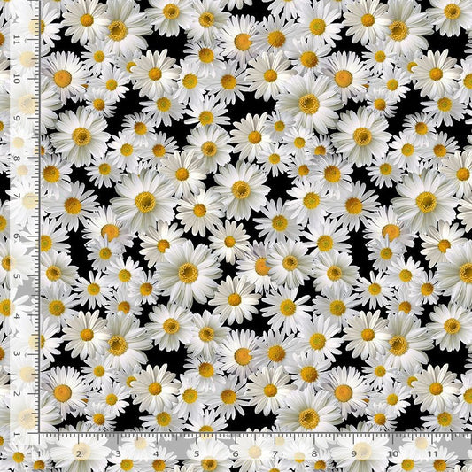 Advice From A Sunflower Blooming Packed Daisies Black Timeless Treasures Cotton Fabric