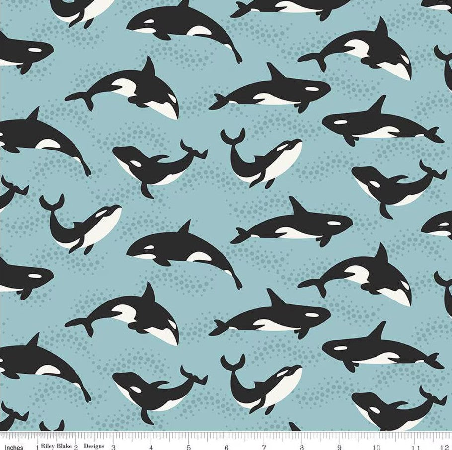 Alaska Orca Whales Aqua Anderson Design Group and the RBD Designers Riley Blake Designs Cotton Fabric RB-C16167-AQUA