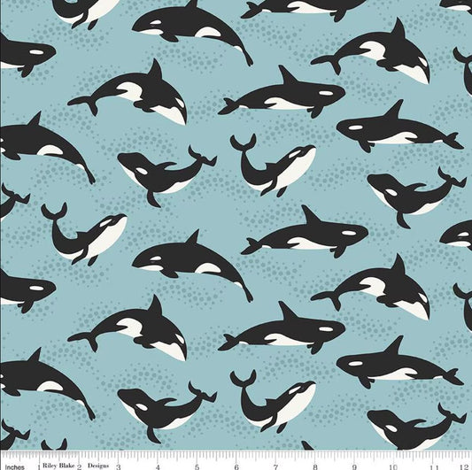 Alaska Orca Whales Aqua Anderson Design Group and the RBD Designers Riley Blake Designs Cotton Fabric RB-C16167-AQUA