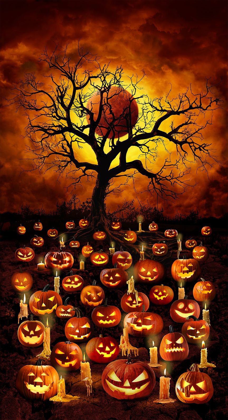 All Hallows Eve Jack O'Lantern Blood Moon Panel 24" Orange Timeless Treasures Cotton Fabric